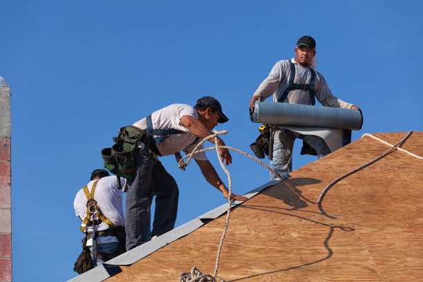 Trusted Ayden, NC Roofing Contractor Experts