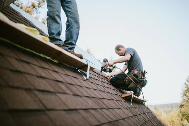 Quick and Trustworthy Emergency Roof Repair Services in Ayden, NC